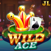sus games apk slot game Wild Ace